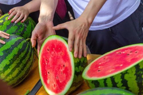 免费吃瓜真人,揭秘真人生百态  第1张