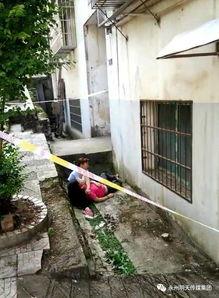 湖南永州零陵爆料事件最新,真相与争议交织的社区冲突调查  第2张