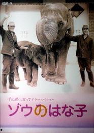 电影大象在线观看,一场视觉与心灵的震撼之旅  第2张