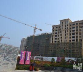 正东中央公馆新闻爆料事件,揭秘背后真相与争议